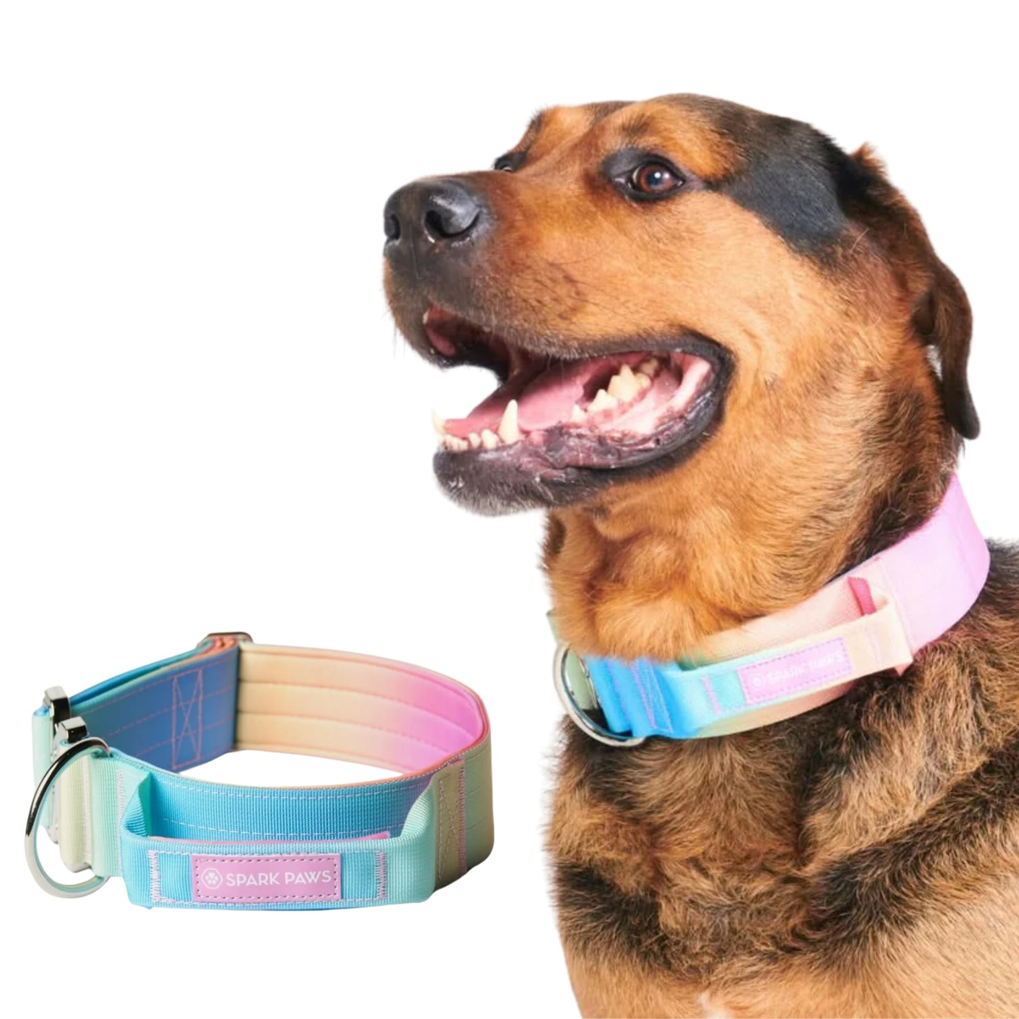 Spark Paws Taktisches Hundehalsband  Robuste, Premium-Qualitt, Dick und  Langlebig fr Groe und Mittelgroe Hunde - Pastel Icing - M: 23-39kg [5cm]  : Amazon.de: Haustier