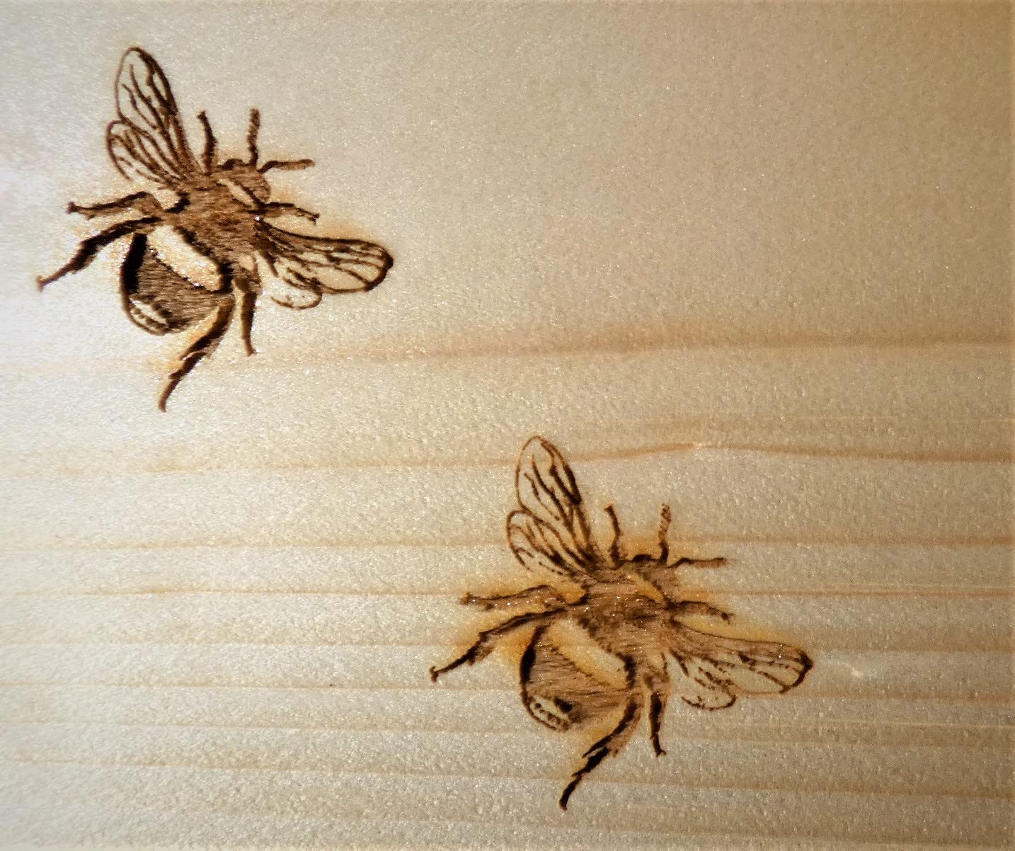 Premium Hummelkasten mit Wachsmottensperre, 2X Sichtfenster und Nistmaterial Wetterfest Bienenhaus Hummelhaus Nistkasten Hummelvilla Bienen Insektenhaus (Hummelhotel 3X von Hand imprägniert)