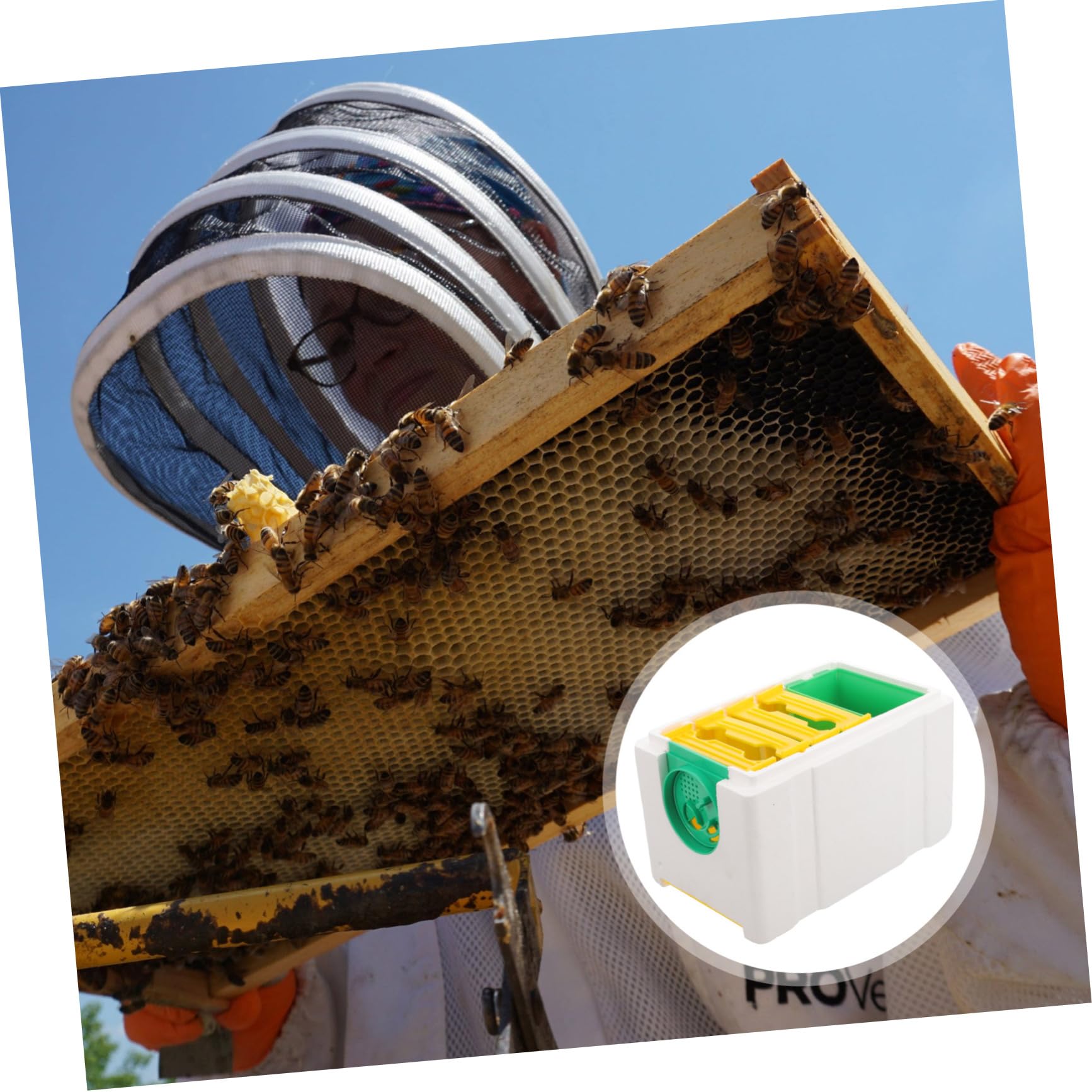 Bienenstock Begattungskasten für Imker Stabiler Bienenbrutkasten aus Langlebigem Material Leichter Bienenfütterungskasten für Bienenzucht und Bestäubung im Garten