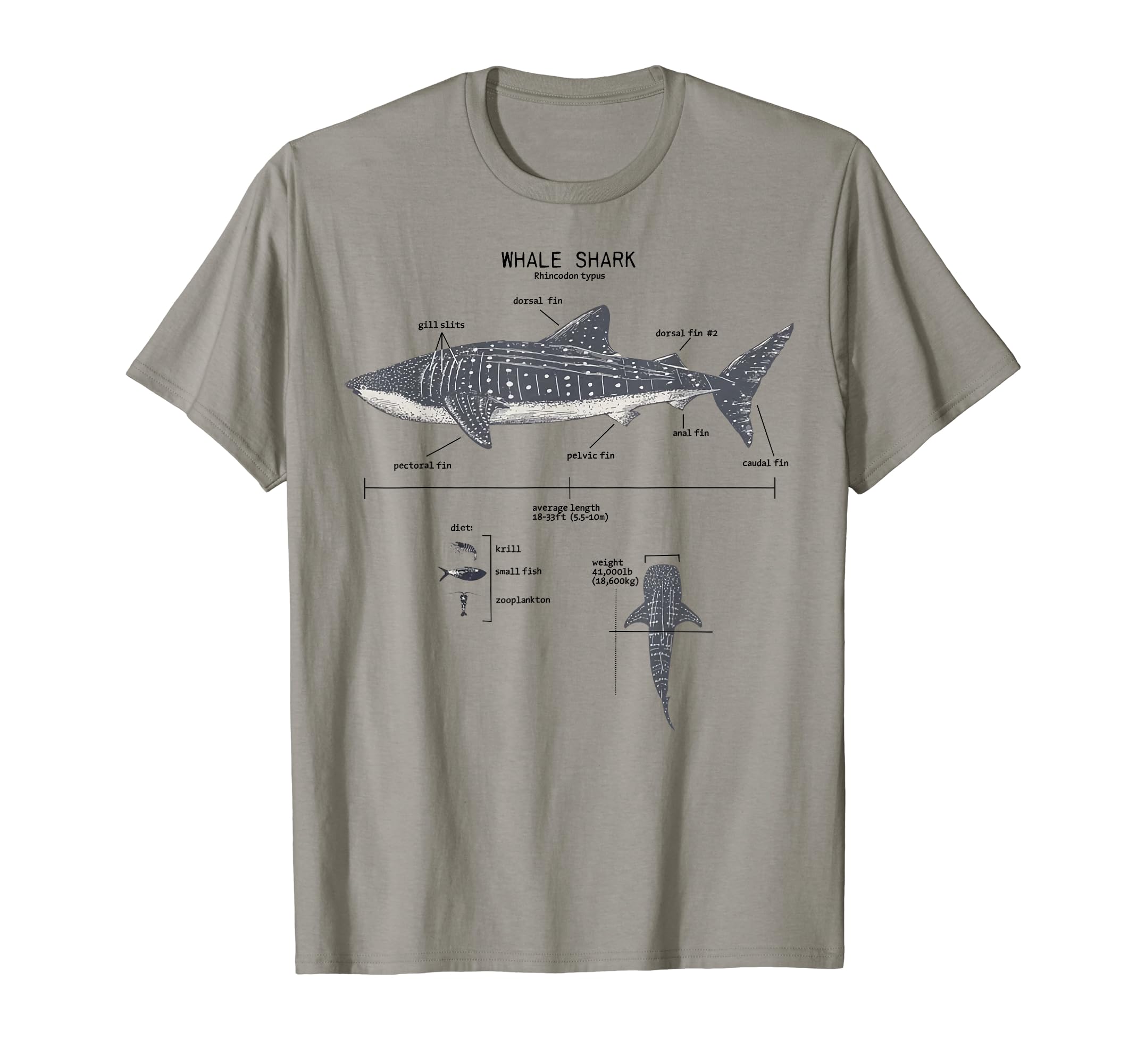 Marine Biologist TeeWhale Shark Anatomy Marine Biologist T-ShirtOEKO-TEX STANDARD 100