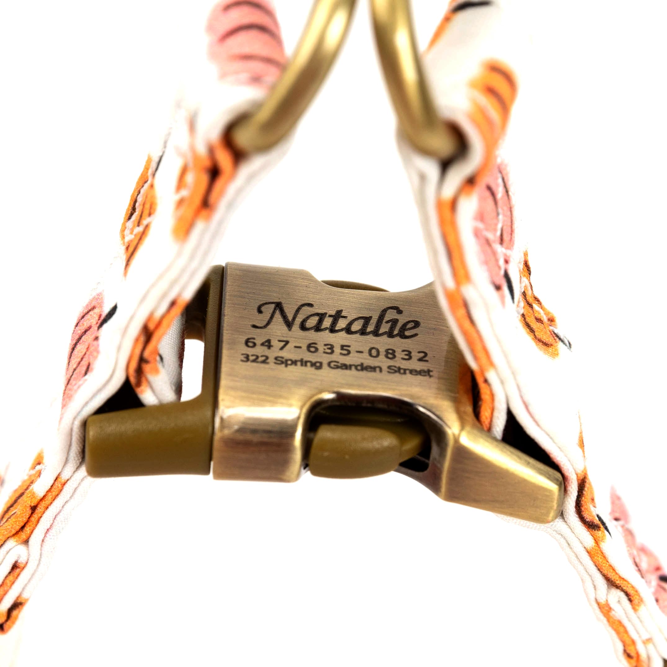 Angie and Allie Organic Cotton Personalized Step in Dog Harness,Custom Dog Halter Vests,Adjustable No Pull Canine Halter Harness for Small Medium