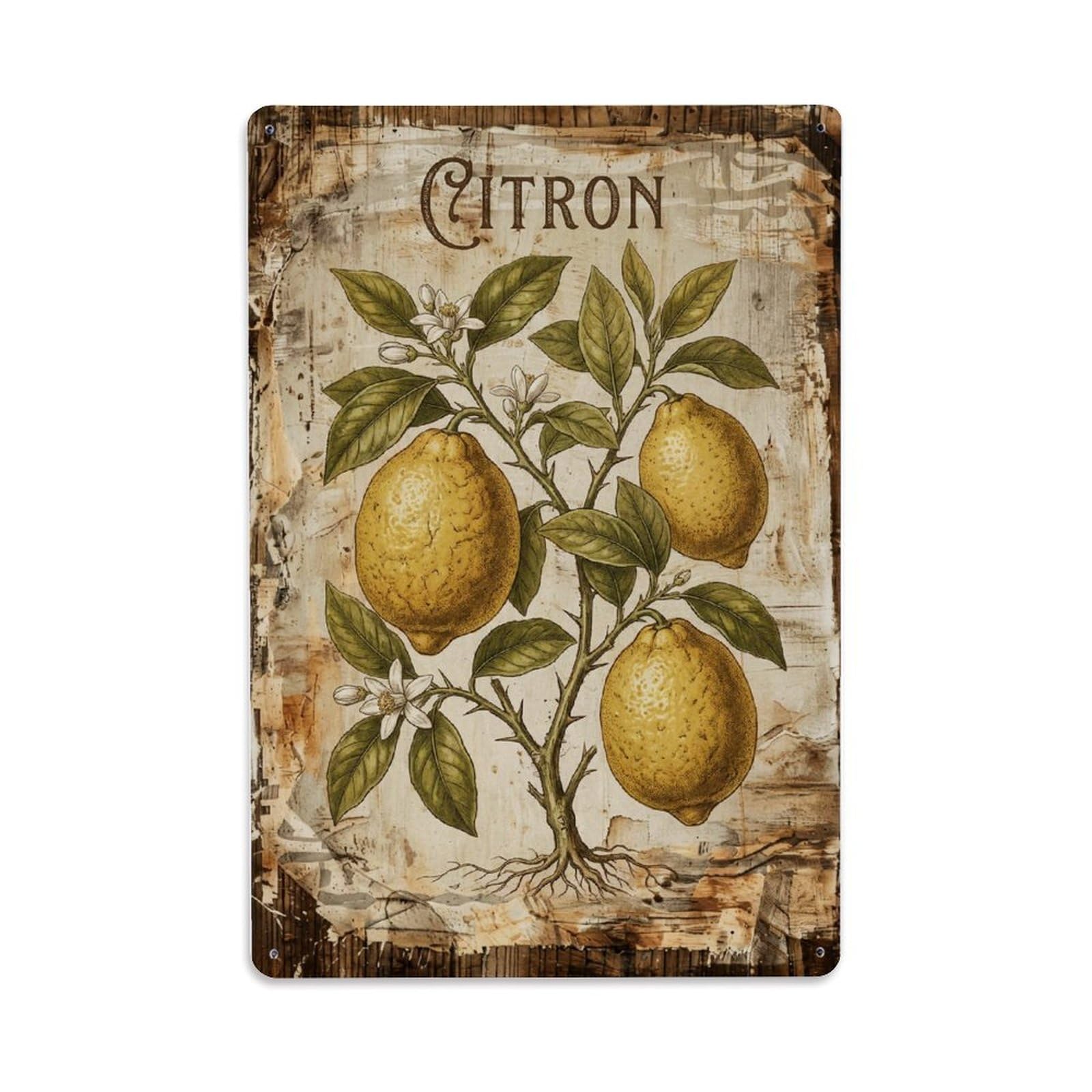 Fqnyr Style Citron Citrus Fruit Metal Tin Sign Plaque Wall Decor For Cafe, Club Bar, Office, Home Garden Metal Poster 8X12inch