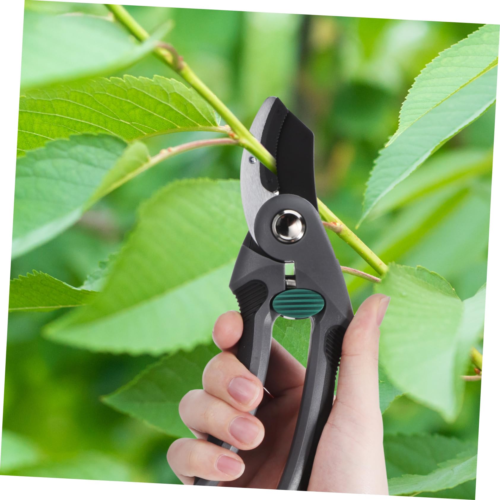 Sosoport Cesoi per Potatura da Giardino Forbici Molla per Taglio Rami Utensili Manuali Impugnatura Ergonomica Acciaio ad Alta Resistenza per Potatura Alberi e Bonsai