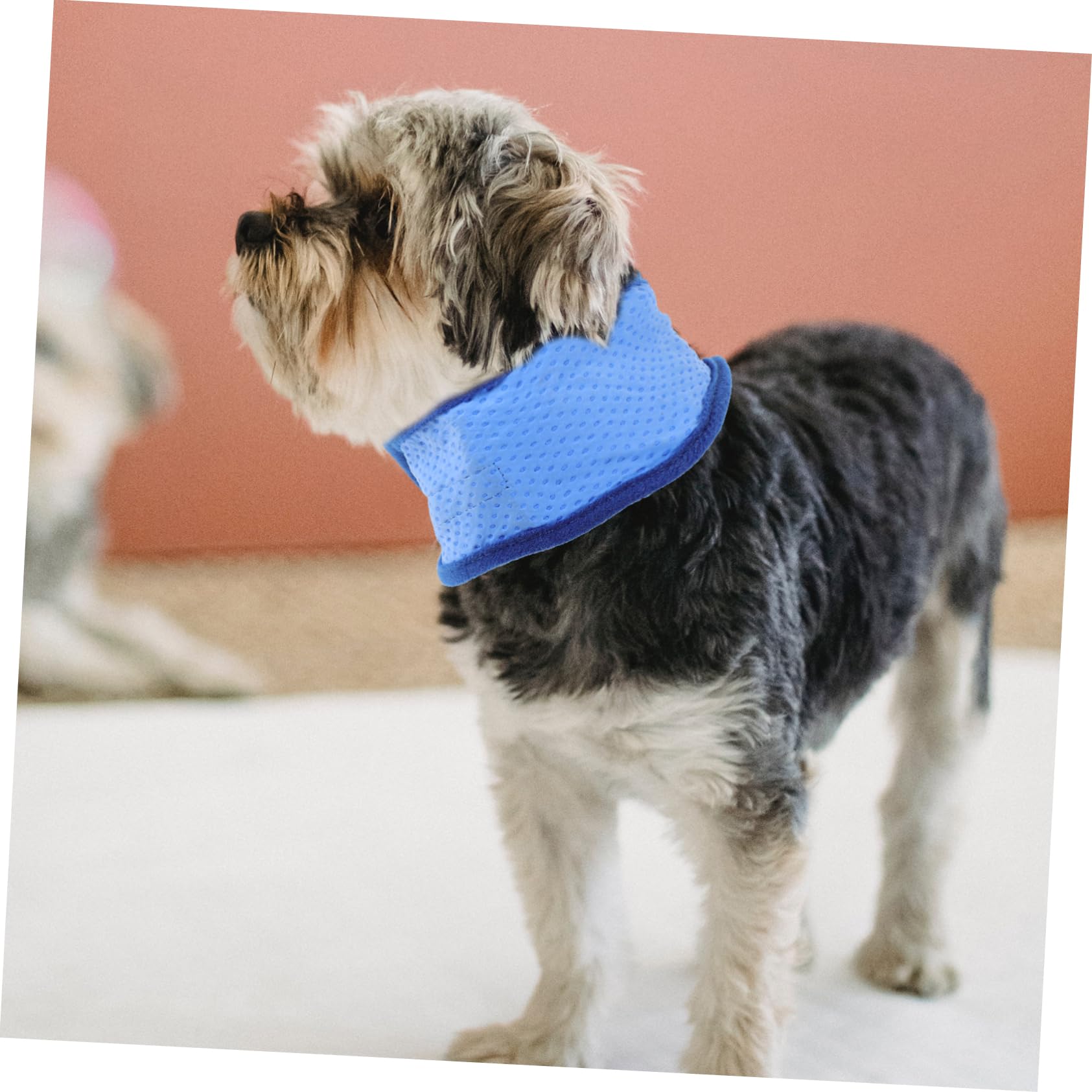Beavorty 6stücke Kühlende Hundehalsbänder Sommer Bandanas Für Haustiere Leichte Und Tragbare Kühlkragen Für Lösung Für Heiße