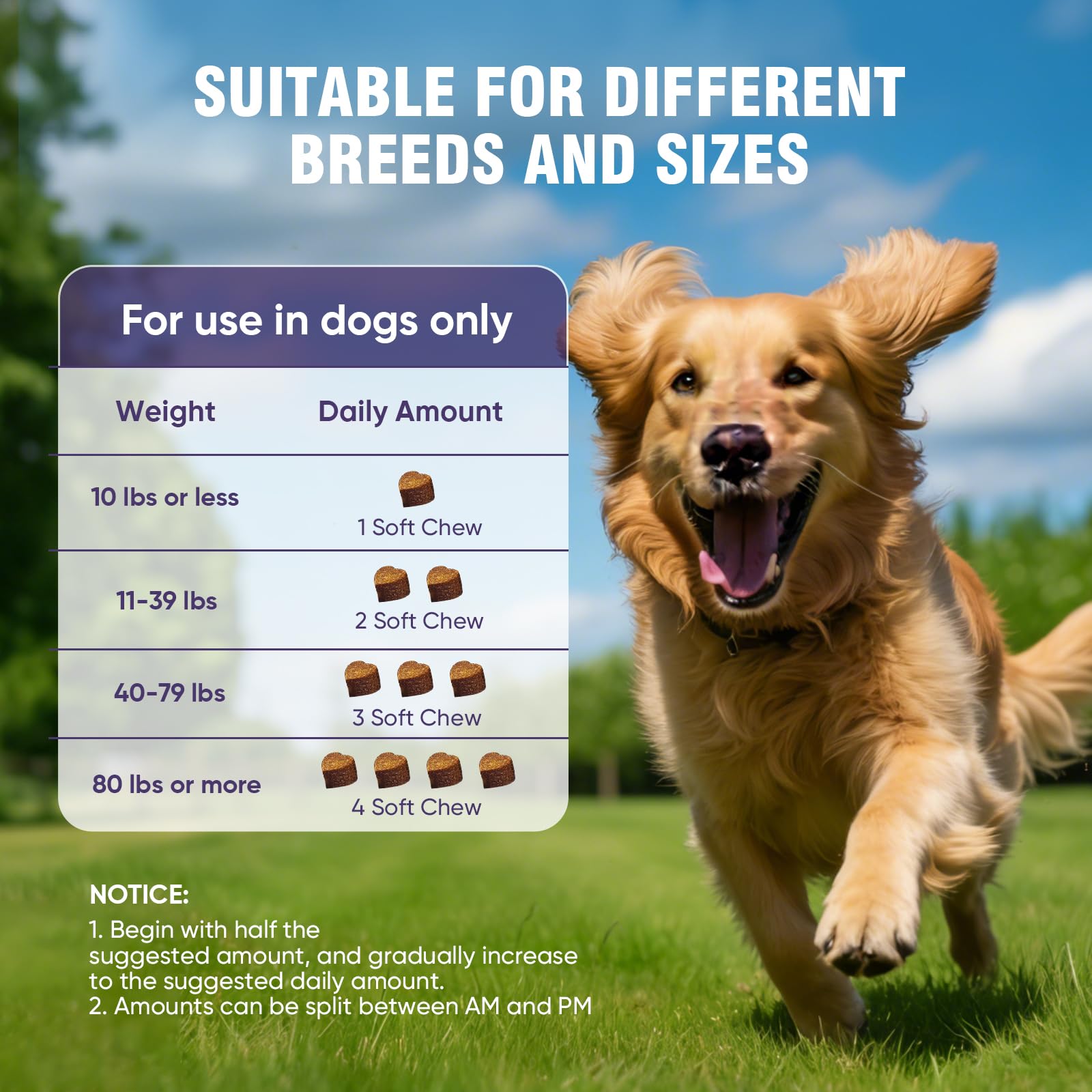 Glucosamine for Dogs 200pcs Joint Support Supplement Dog Hip and Joint Chondroitin Chews Treats with MSM Dog Joint Pain Relief Mobility Supplements Chicken Flavor Fit All Large Small Medium Breed - image 7