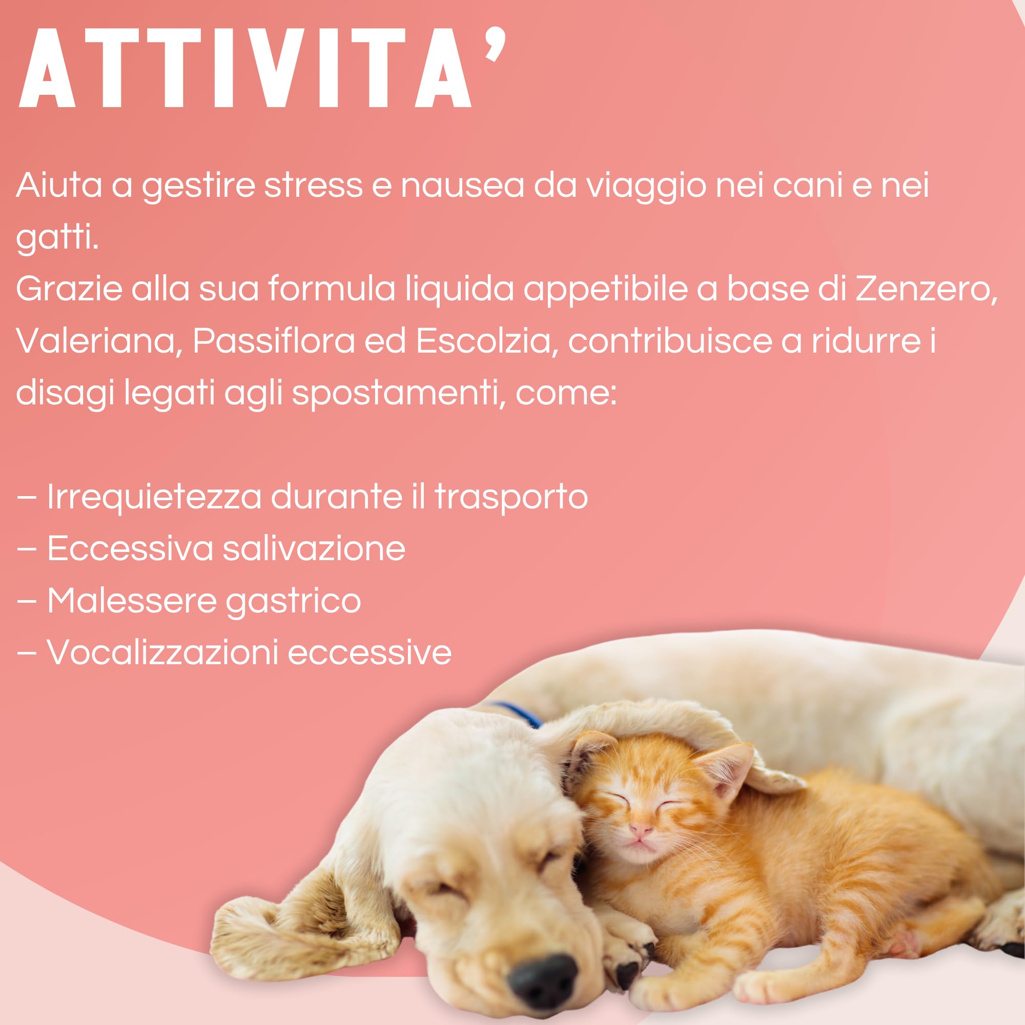SLAIS Srl Rifoson Travel per Cani e Gatti – Alimento Complementare in Emulsione Fluida – con Zenzero, Valeriana, Passiflora ed Escolzia – 100 ml con Siringa Graduata