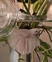 Customer review image for Comfortable Environment (filter current)