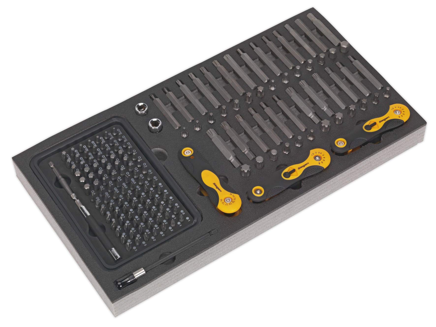 Sealey S01126 Tool Tray with Specialised Bit and Folding Hex Key, 192 Pieces, Red, 280 x 530 x 50