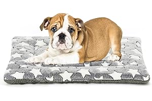 24 Inch Crate Pad: Comfort and Security for Your Canine Companion