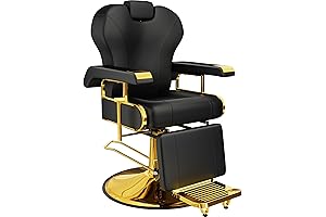 Baasha Salon Chair: Professional Salon Comfort and Elegance