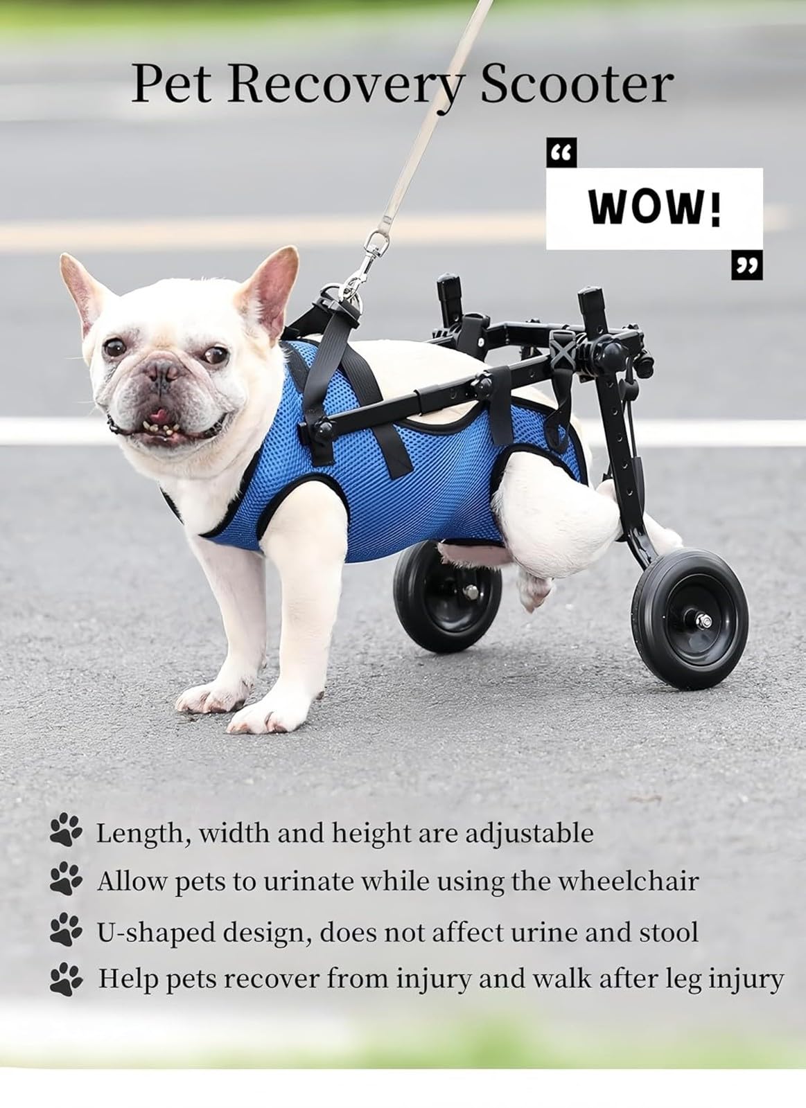 Passeggini Per Carrozzine Per Cani, Carrozzine Per Cani Per Camminare Con Zampe Posteriori Disabili, Carrello Per La Mobilità Della Carrozzina Per Cani(Small)
