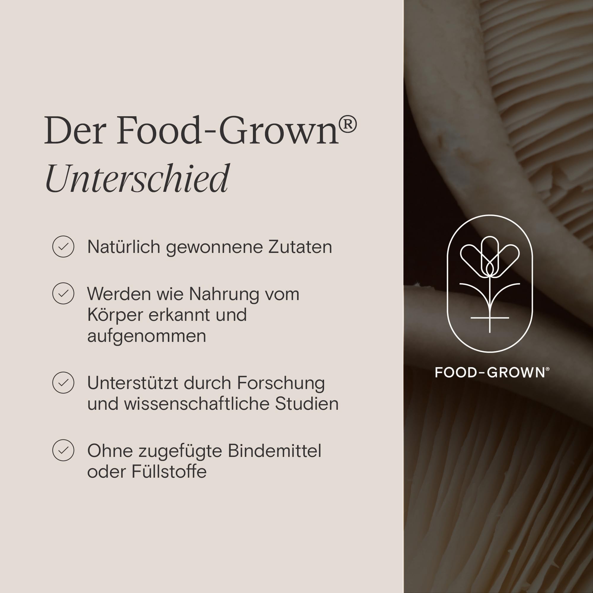 WILD NUTRITION Food-Grown® Vitamine für die Stillzeit | Vitamine für Energie und Immunstärkung nach der Geburt | Vitamin B6, Zink, Eisen und Selen | Bockshornklee & Brennnessel | 90 Kapseln