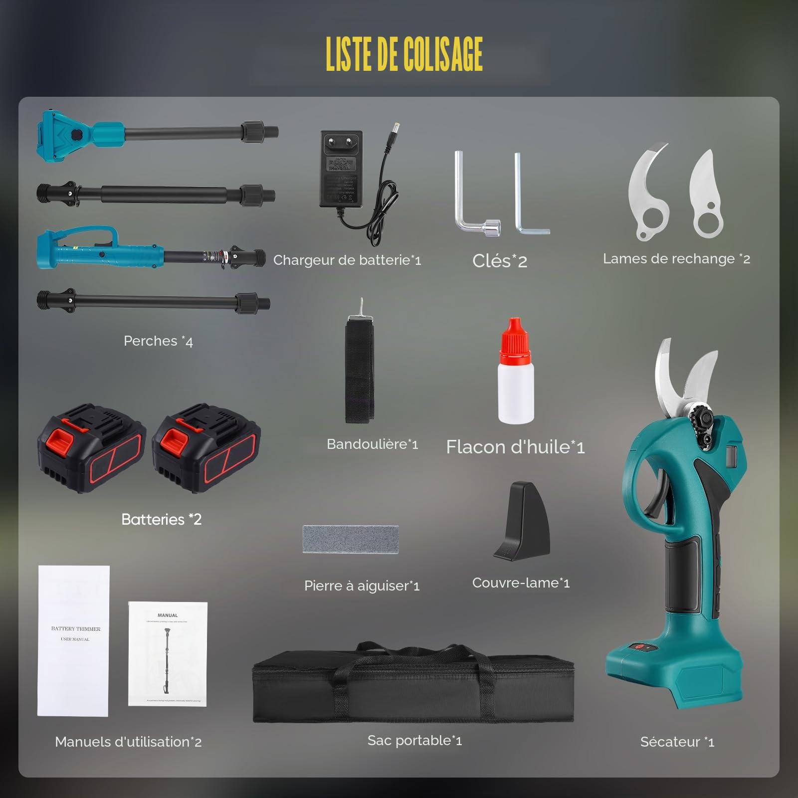 2 en 1 Secateur Electrique Sans Fil, avec 21V 2x3.0 Ah Batteries, Elagueuse sur Perche pour Arbres et Arbustes