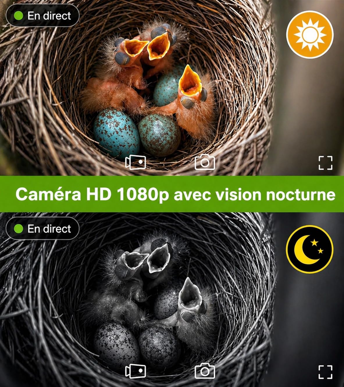 Nichoir intelligent avec caméra Wi-Fi 5 MP – Nichoir à énergie solaire pour observation des oiseaux en direct, détection de mouvement et alertes par application, nichoir en bois résistant aux