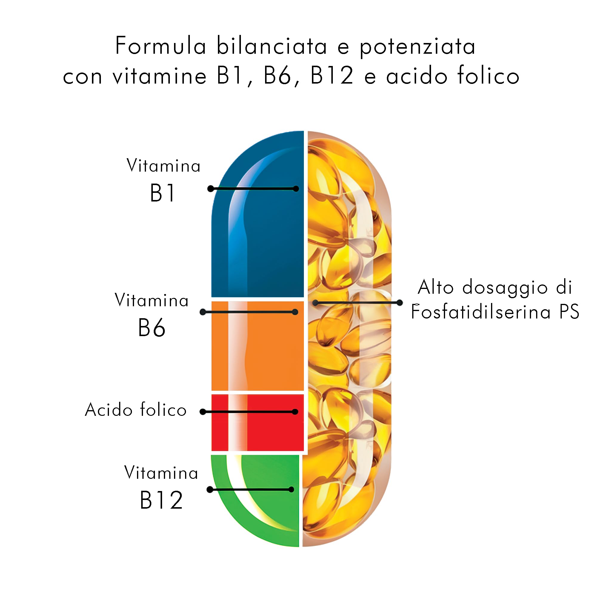 Fosfatidilserina Pura 300mg Contrasta il Cortisolo, Migliora Memoria e Concentrazione, Riduce lo Stress Integratore Nootropico con Vitamine B1 B6 B12 Acido Folico 90 Capsule Me Myeasy 2 Pack