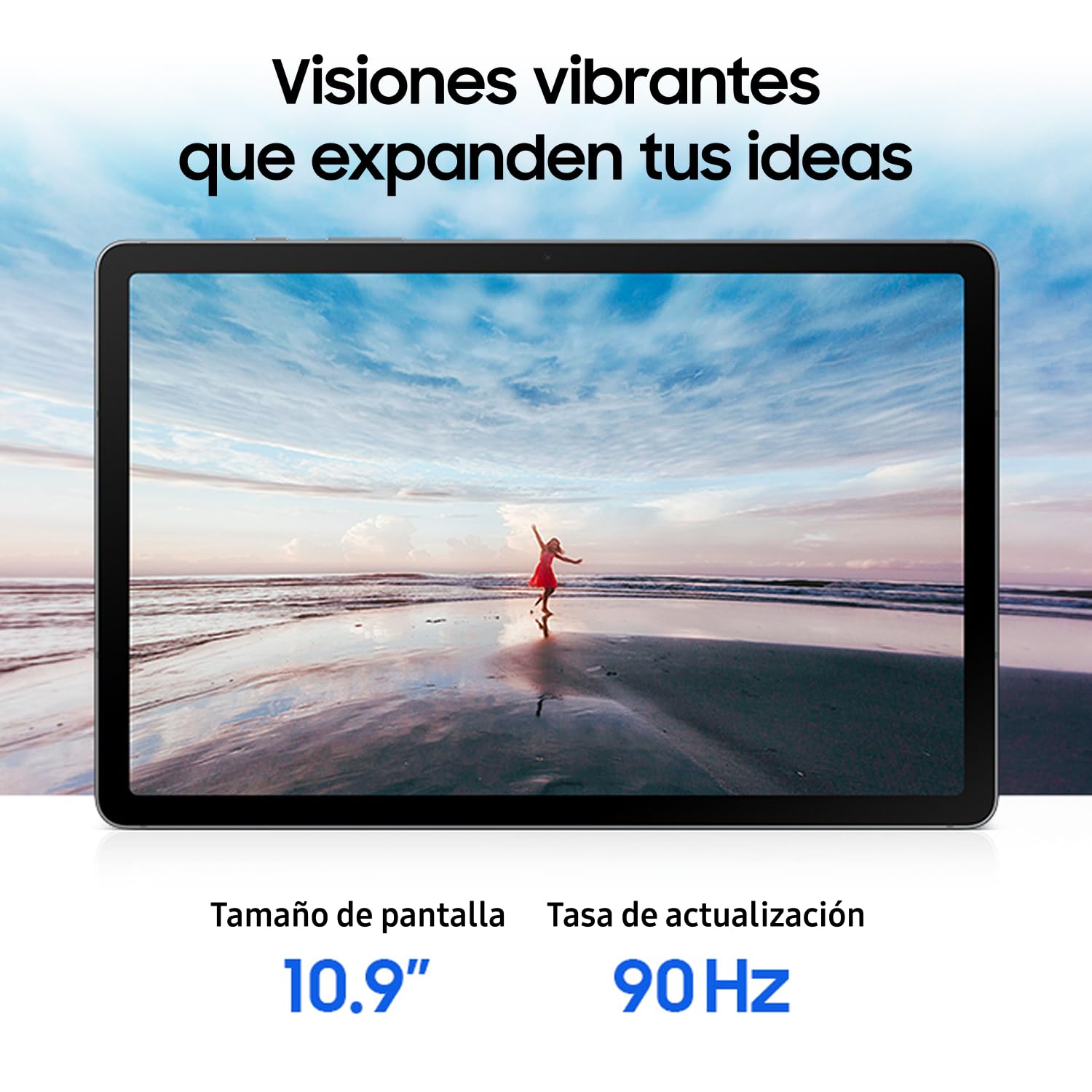 Samsung Tab S10 Lite Gray 128 GB