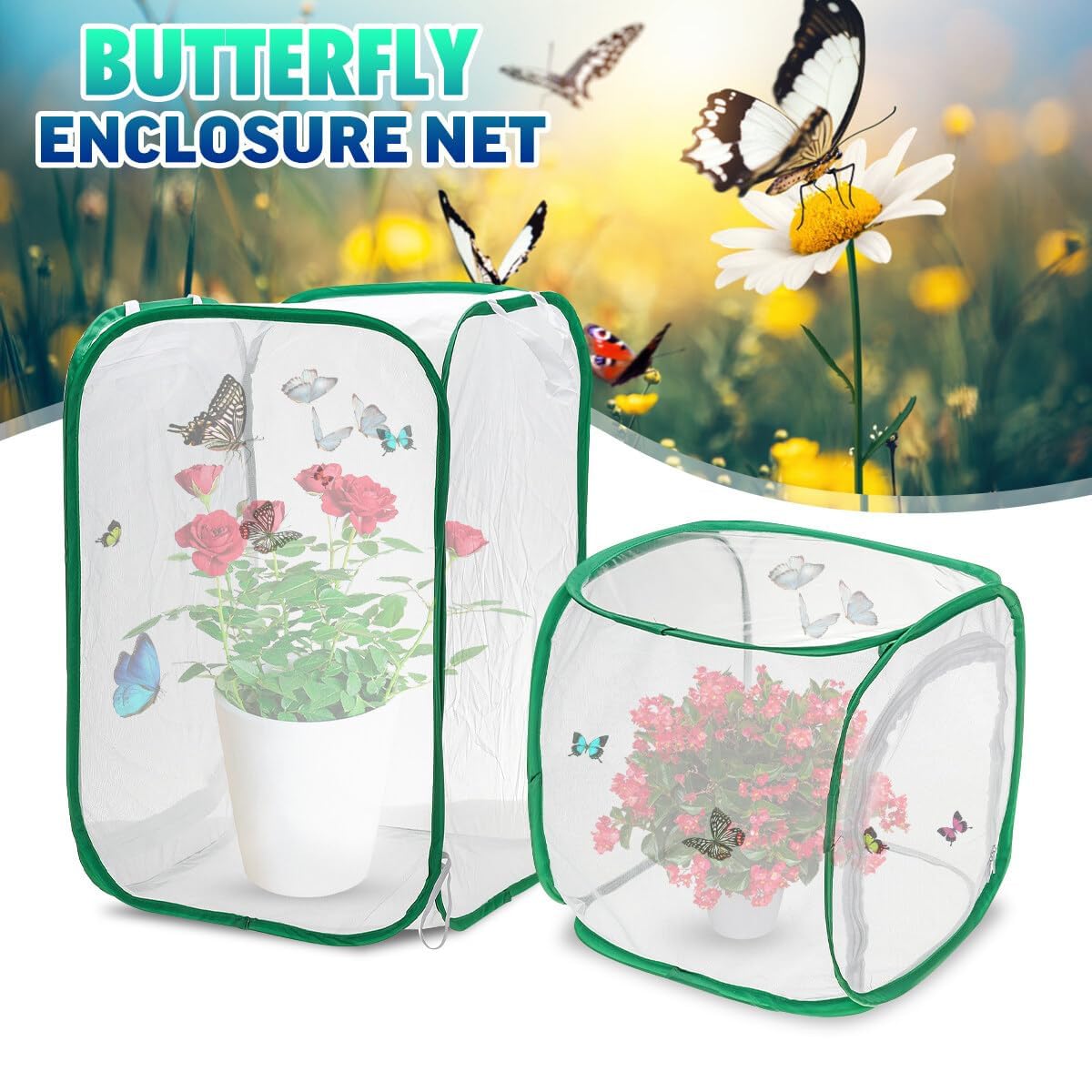 Plant Insecte Net Papillon Pet Cage Plantation lumire incubateur Pliable Cage Insectes ventil ventil Transmission Transmission de lumire Cage Zipper Plant House 60 * 60 * 90 cm