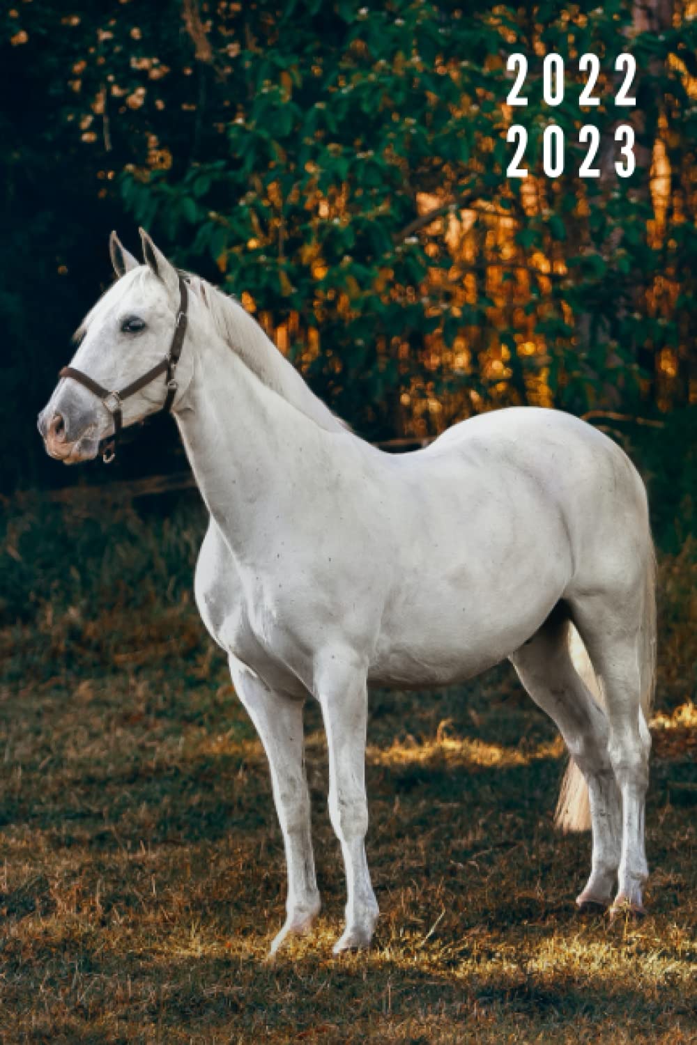 2022 | 2023: Agenda Scolaire CHEVAL [Pages intérieures colorées] semaine sur 2 pages | Format A5.