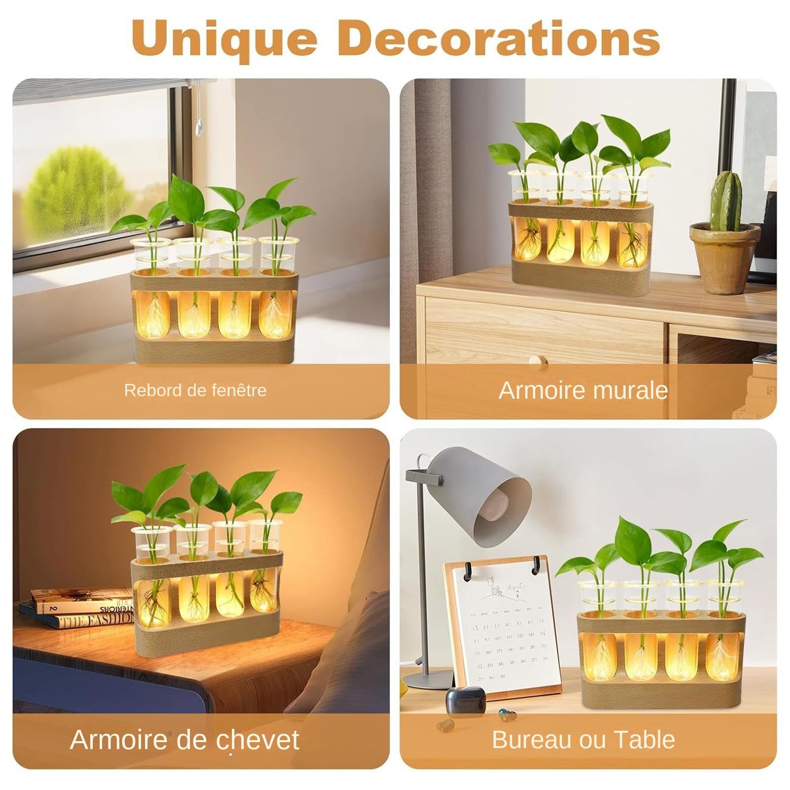 Vase De Propagation Terrarium avec Éclairage LED Réglable