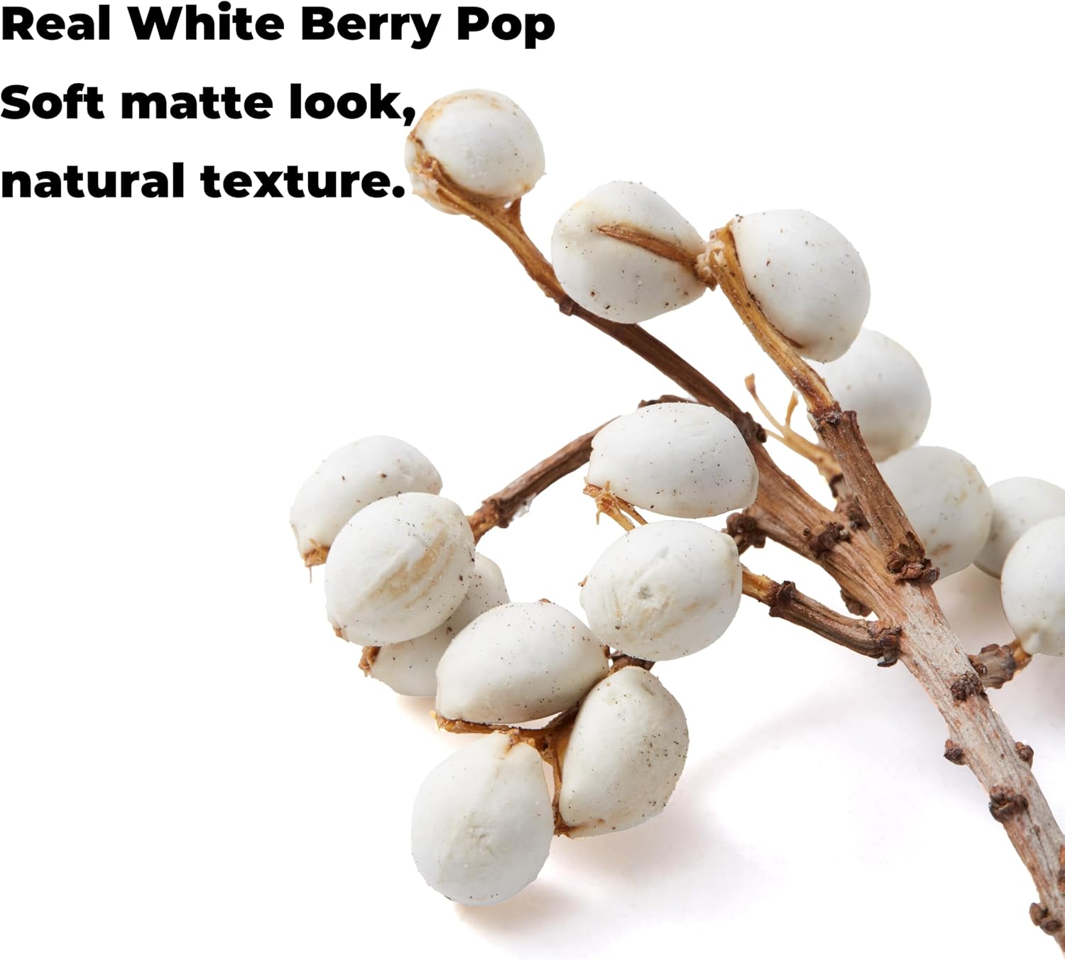 Boxed Dried Tallow Berries - 30g Natural White Berry Stems for Crafts, Mini Floral Arrangements, DIY Rustic Decor, Vase Filler for Wedding and Holiday Scenes