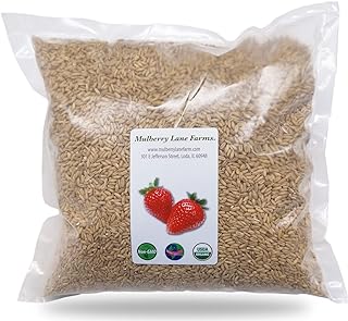 25 High Protein Raw Vegan Recipes Full of Energy 6 Whole Oats 5 Pounds Hulled, Groats, USDA Certified Organic Non-GMO Bulk,...