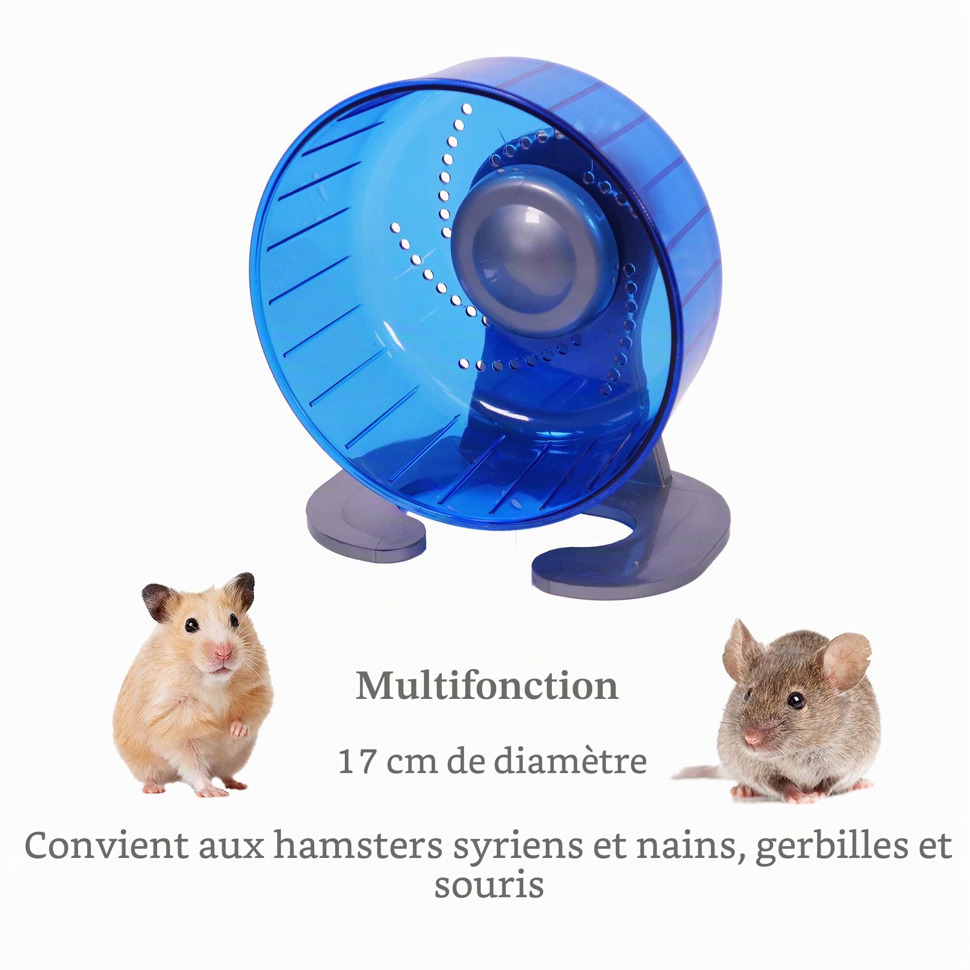 Rosewood Pico Roue d'exercice pour Hamster avec Support Bleu