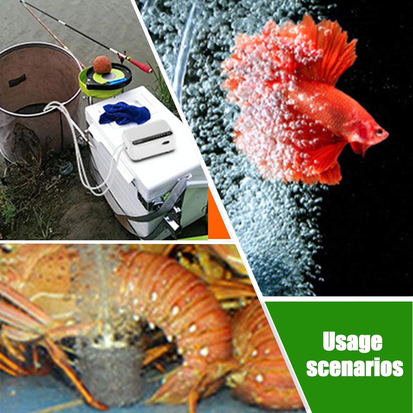 Pompe à air d'aquarium, rechargeable par USB, avec 1 sortie, 6 niveaux de débit d'air réglable, 3 l/min, aérateur portable, pompe d'aquarium pour aquariums, étangs de jardin, pêche en plein air