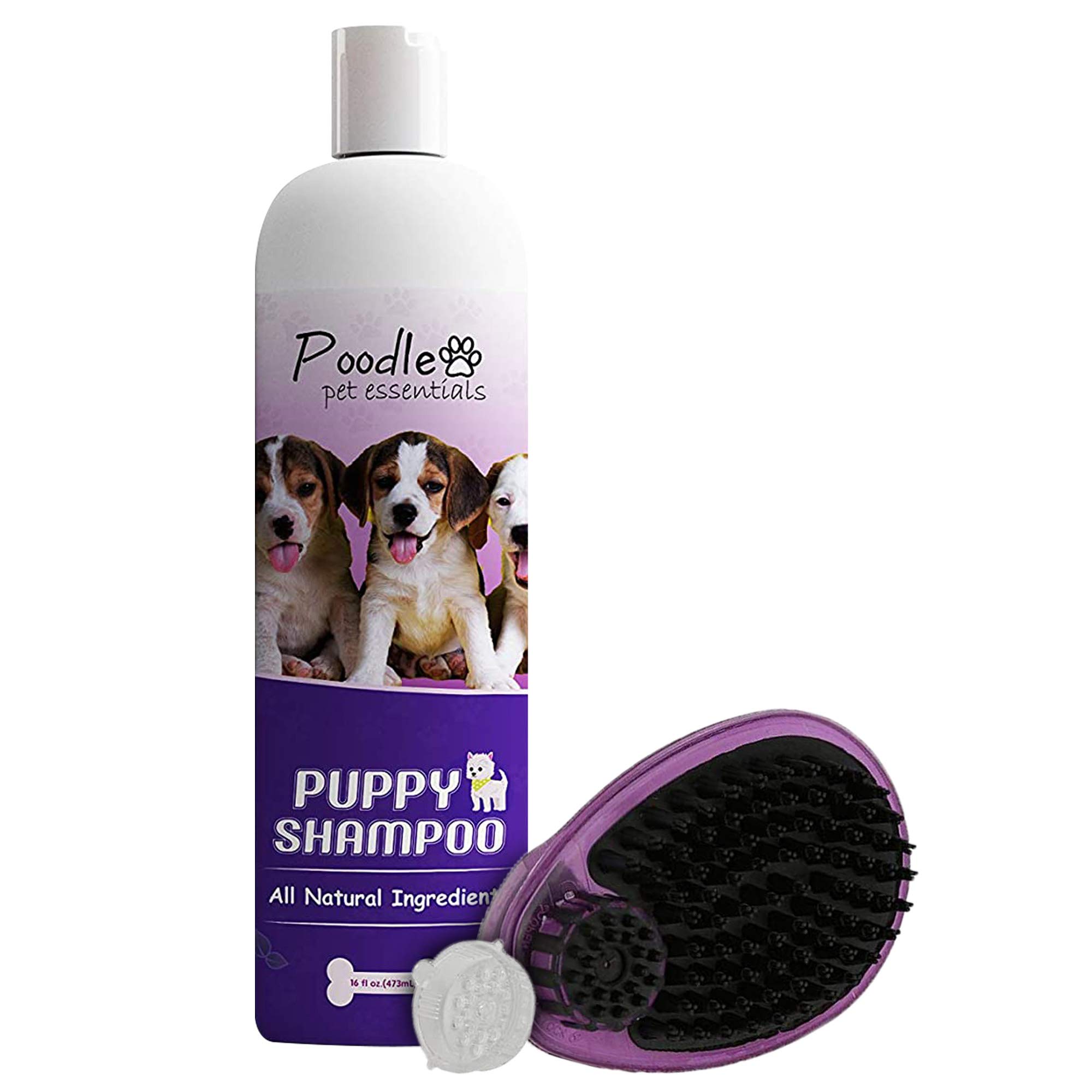 shampoo for poodle puppy