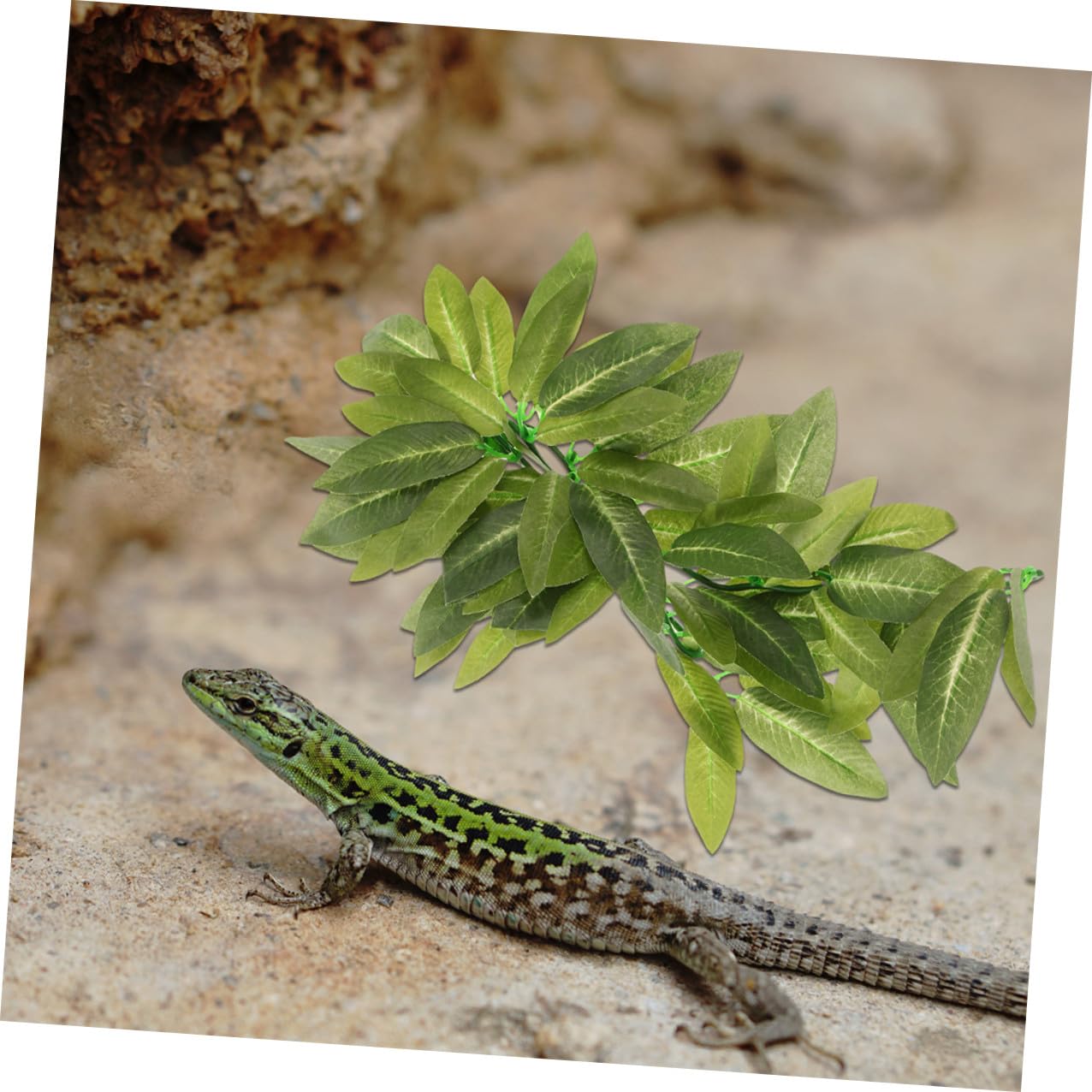 Hemobllo 6piezas Decoración de Plantas de Reptiles para Terrarios Enredaderas Colgantes Artificiales de Plástico para Decorar Terrarios de Serpientes