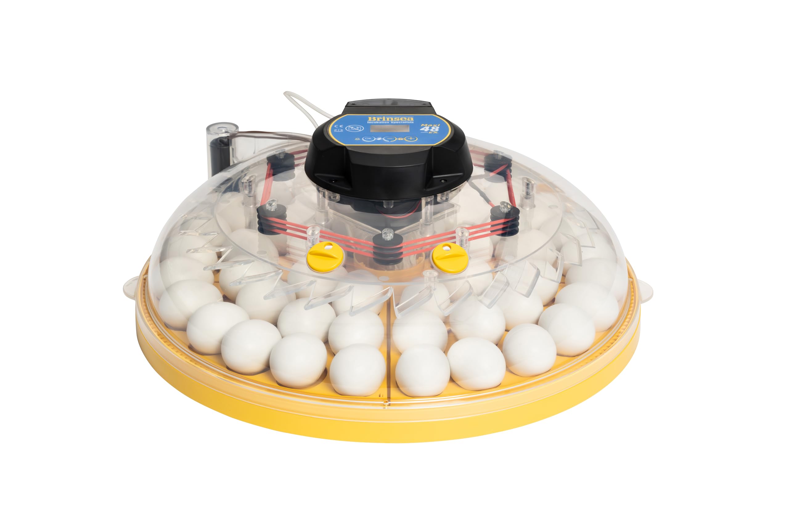Incubadora BRINSEA Maxi 48 EX - Incubadora para 48 Huevos de gallina - Apta para Diferentes Especies o tamaños de Huevos - Fabricación Europea