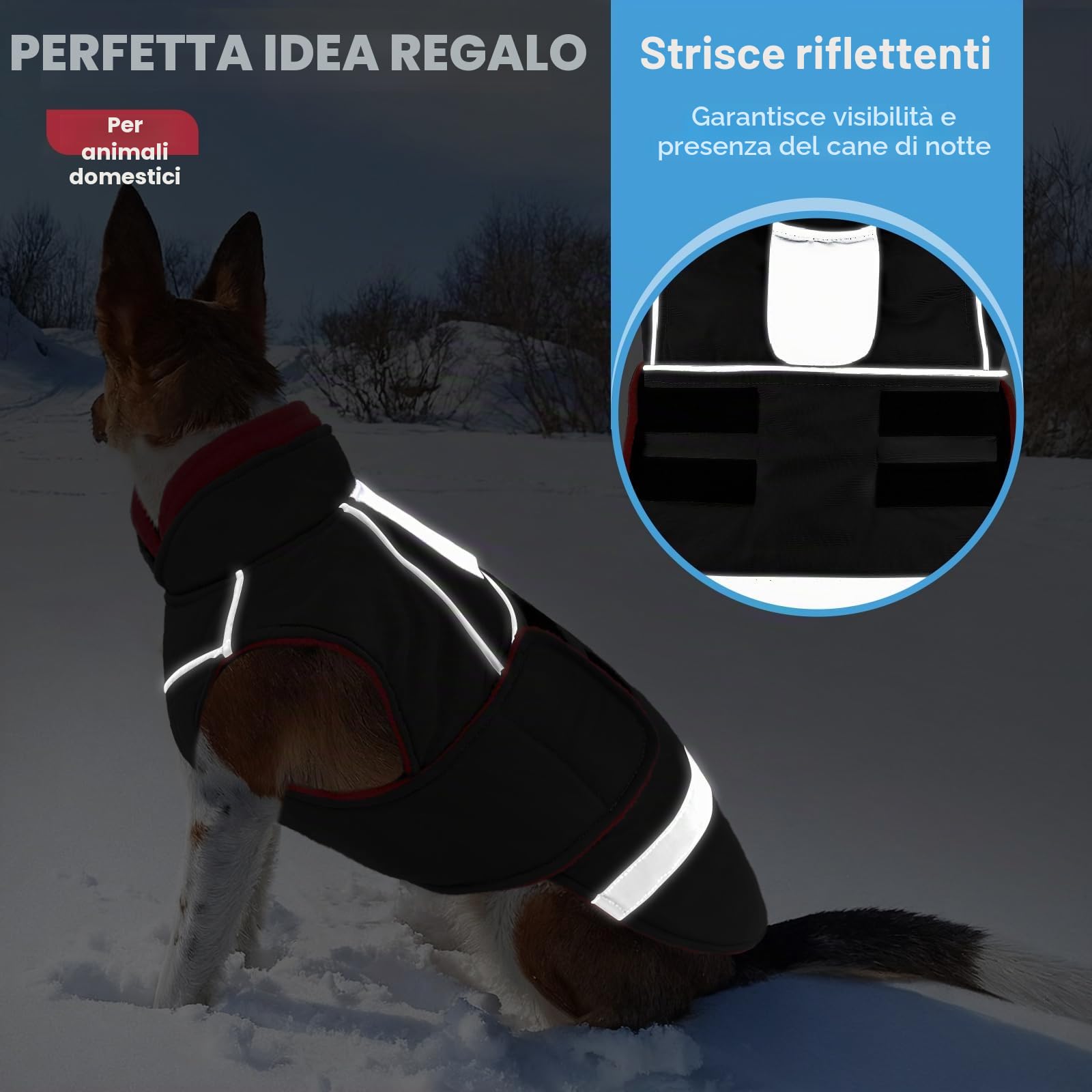 CITÉTOILE Impermeabile e Antivento per Cani - Giubbotto Invernale Cane Caldo Riflettente - Cappottino Cane con Collo di Pile & Foro, Adatto per cani piccoli e medi, Nero, XL