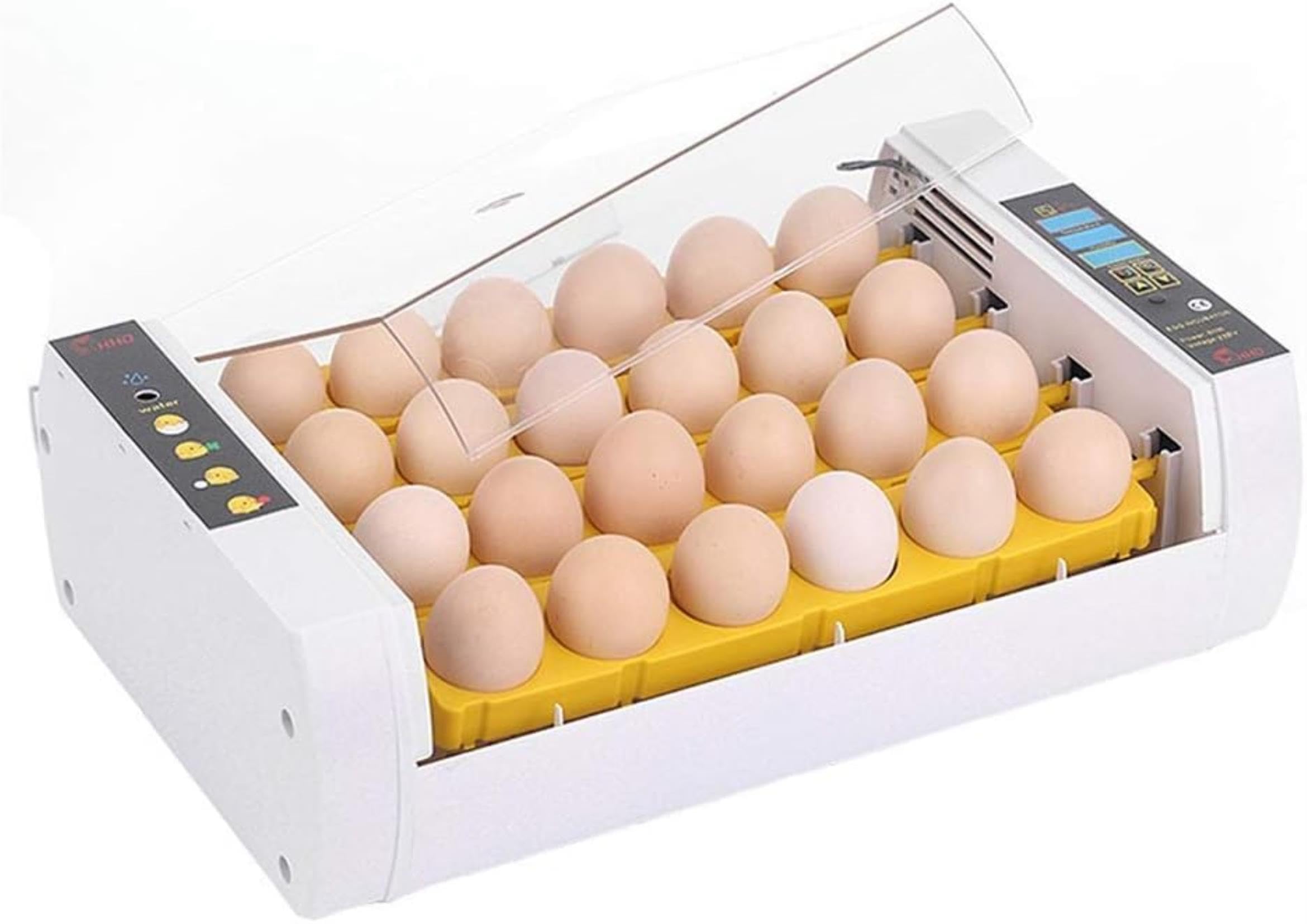 Incubateur d'œufs automatique XENITE 24 œufs pour couver poulet, caille et pigeon