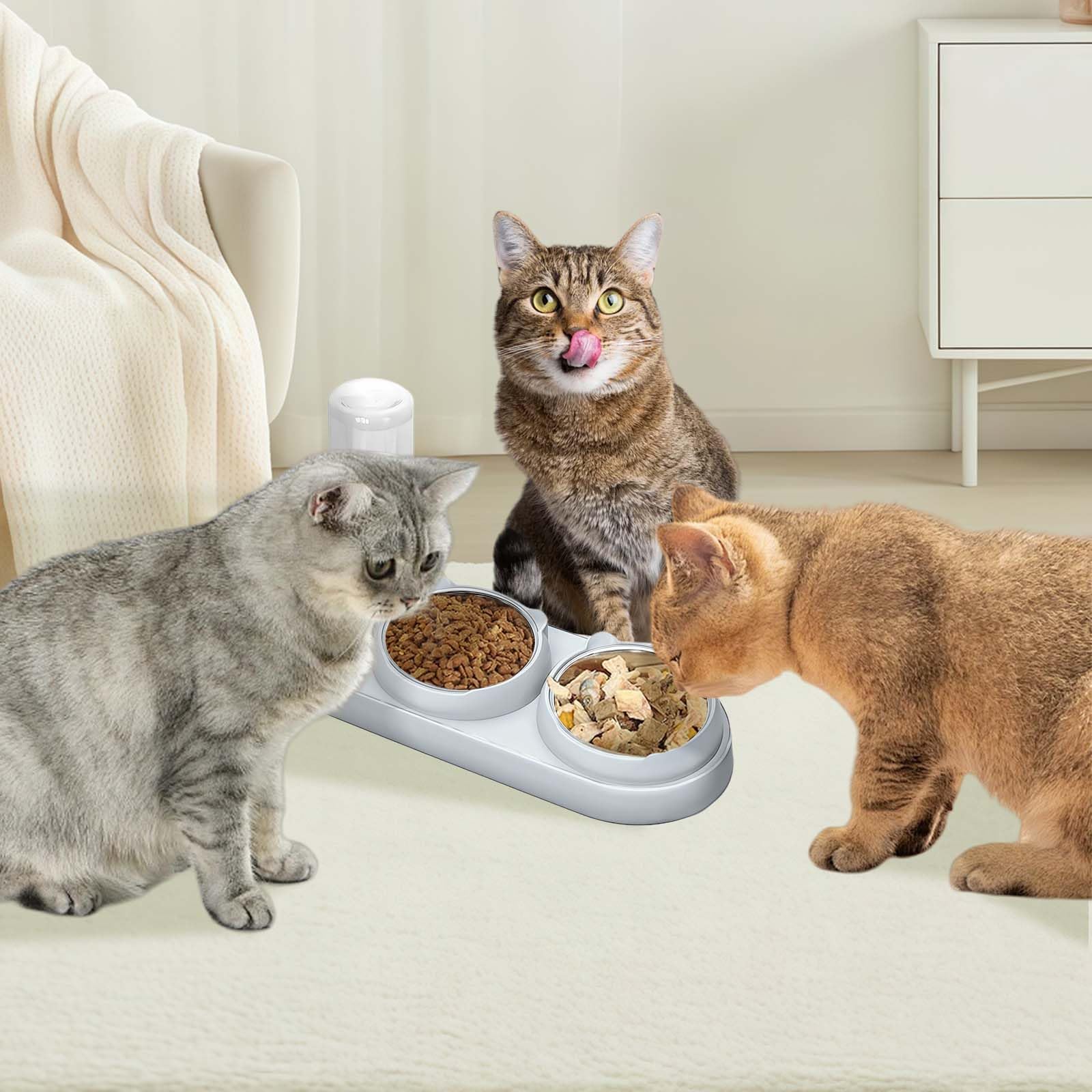 doepeBAE Kattenwater- en dubbele voerkommen, zwaartekrachtwater en dubbele voerkommen, 500 ml premium roestvrijstalen hondenkommen en kattenvoerbakken met morsvrije siliconen basis voor kleine honden doepeBAE Kattenwater- en dubbele voerkommen, zwaartekrachtwater en dubbele voerkommen, 500 ml premium roestvrijstalen hondenkommen en kattenvoerbakken met morsvrije siliconen basis voor kleine honden