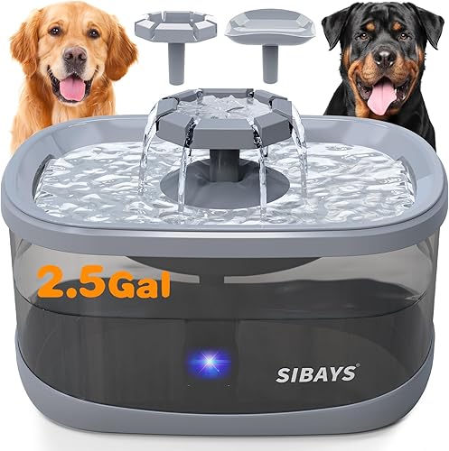 SIBAYS Fuente de agua para perros grandes, 3 modos de flujo, fuente de agua grande para gatos, dispensador automático de agua para perros con filtro