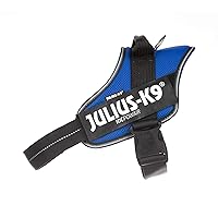 Julius-K9, Pettorina IDC Powair