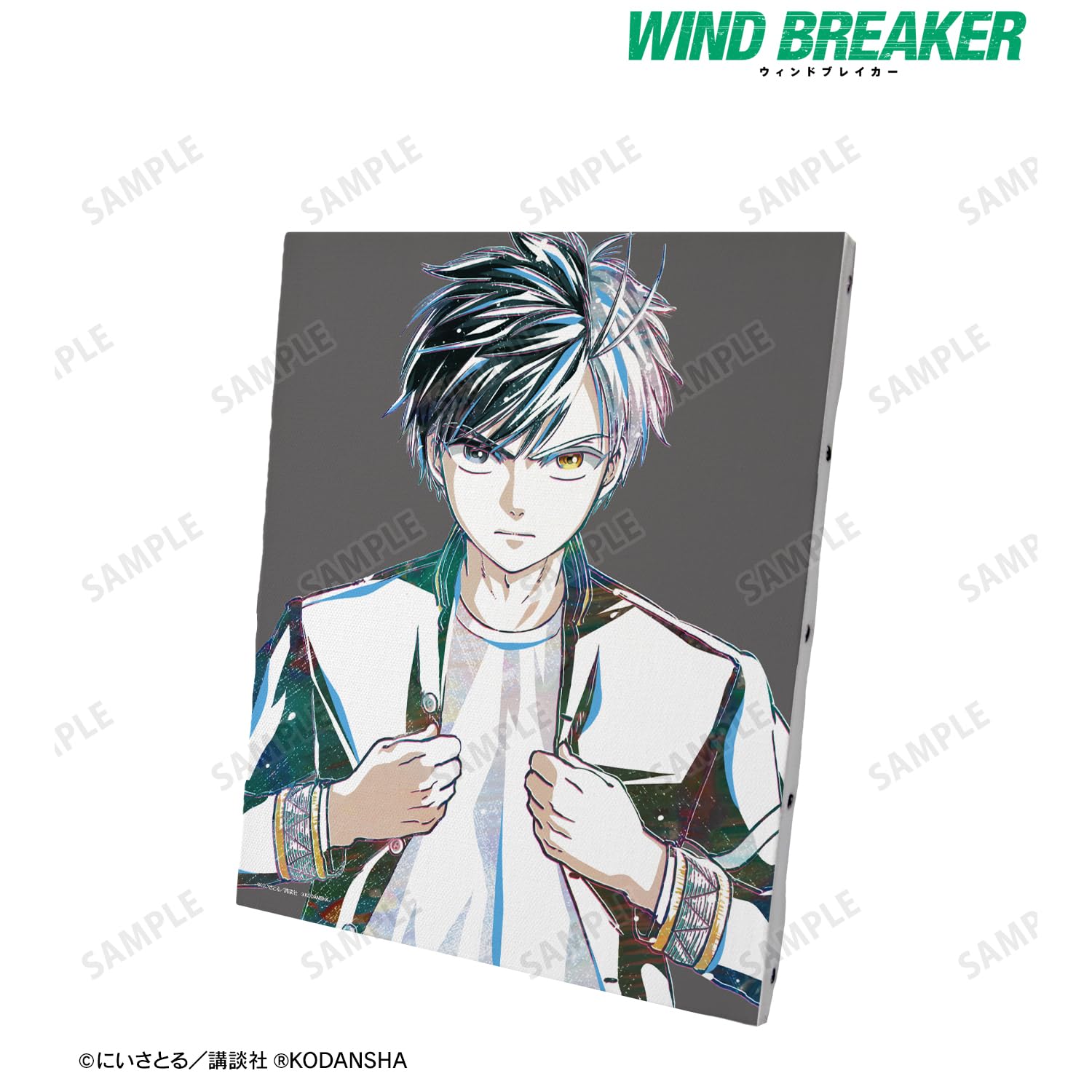 Amazon.co.jp: WIND BREAKER 桜 遥 Ani Art キャンバスボード : おもちゃ