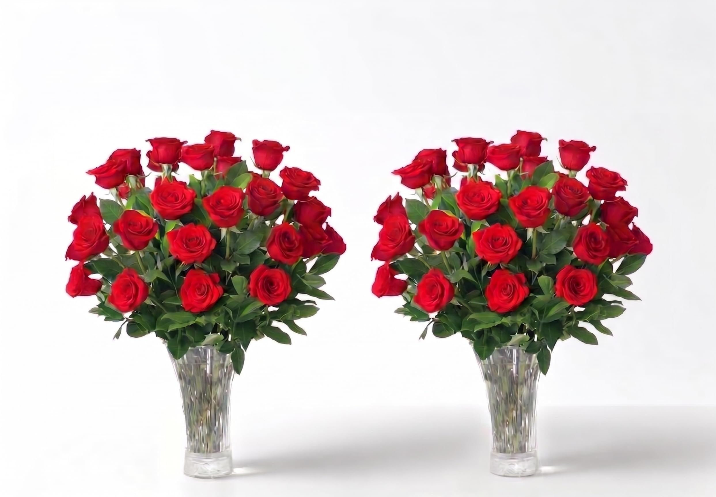 Aquarossa Farms – Fresh Cut Flowers for Delivery, Gifts for Graduation, Birthday, Anniversary, or Just Because – 48 Red Fresh Roses