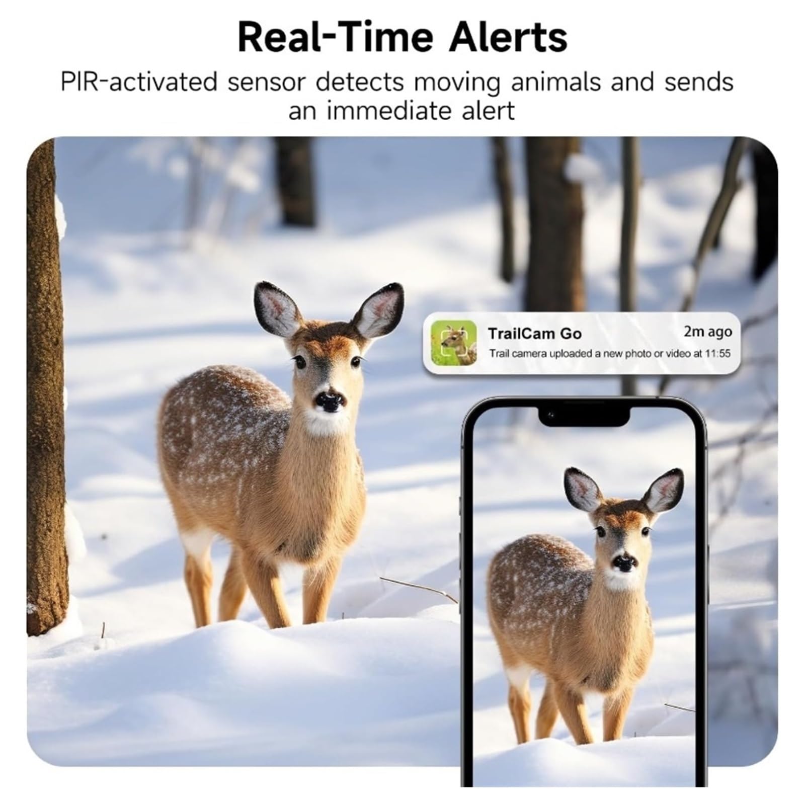 Outdoor 4K 50MP APP Del Telefono Della Fauna Selvatica Macchina Fotografica A Infrarossi 4G Integrato Impermeabile Di Visione Notturna IP66 Trappola Gioco Cam Registrazione Video Nitida
