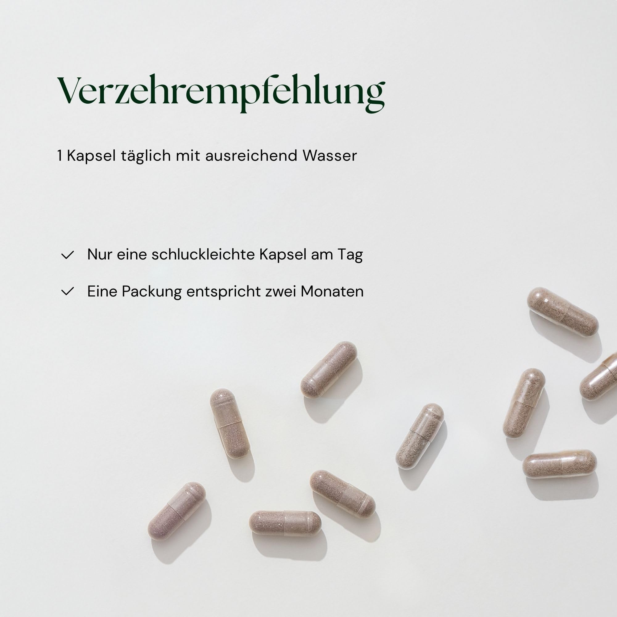 Fermentierte Ginkgo Kapseln - Ginkgonuss & Ginkgo Biloba Extrakt - 60 Kapseln vegan und glutenfrei - Zwei-Monats-Ration