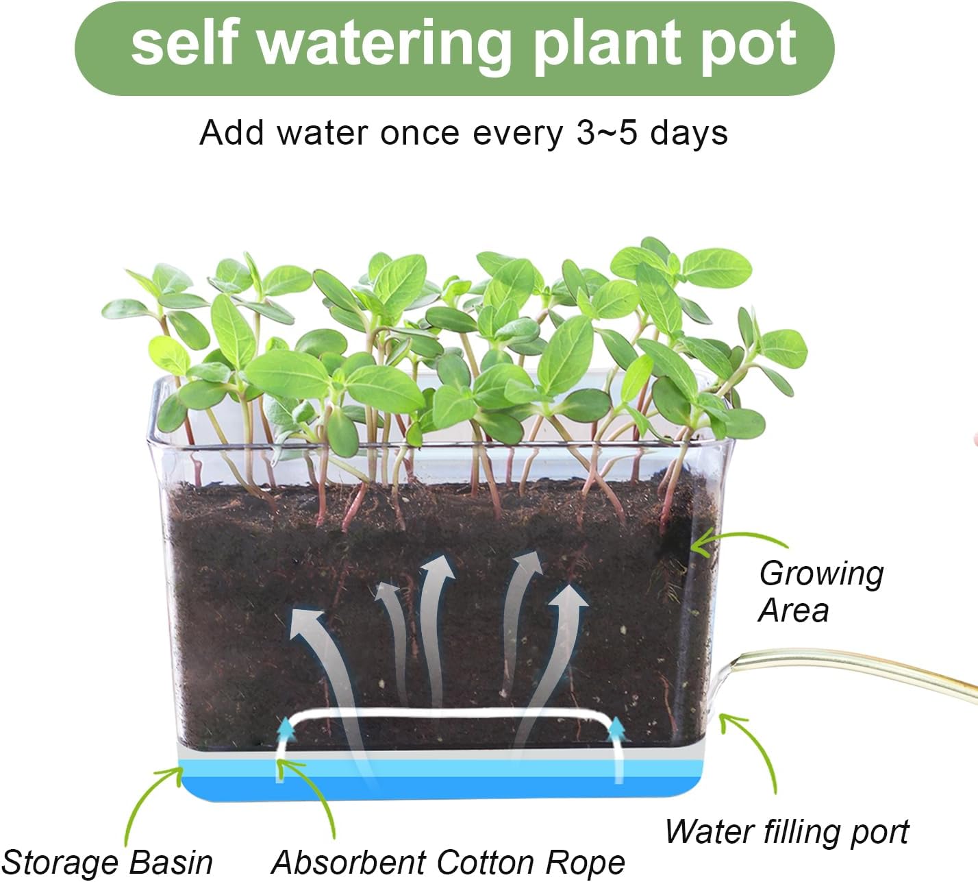 Self Watering Planters - 4 Pack Rectangular Clear Plant Pots with Drainage Holes for Indoor Plants - Image 4