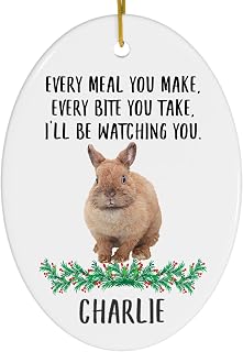Every Meal You Make Every Bite You Take Brown Netherland Dwarf Rabbit Personalized Christmas Ornaments 2025 Oval White Ceramic Farm Owner Gift