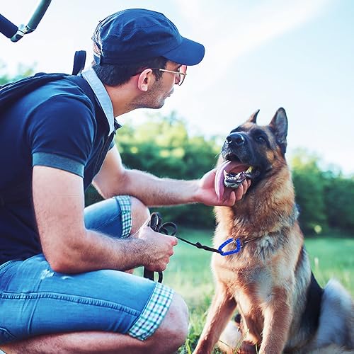 Miniatura 6 de Llavero de mosquetón táctico, paquete de 12 mosquetones de polímero duro, anillos en D, ligero, resorte a presión, gancho de engranaje, ganchos de