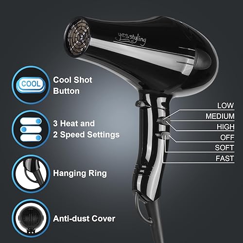 Miniatura 3 de Professional Salon Hair Dryer, Blow Dryer Active Oxygen Negative ions Dryer with Attachments for Fast Drying for Family, Low Noise (Mirror Black, 1