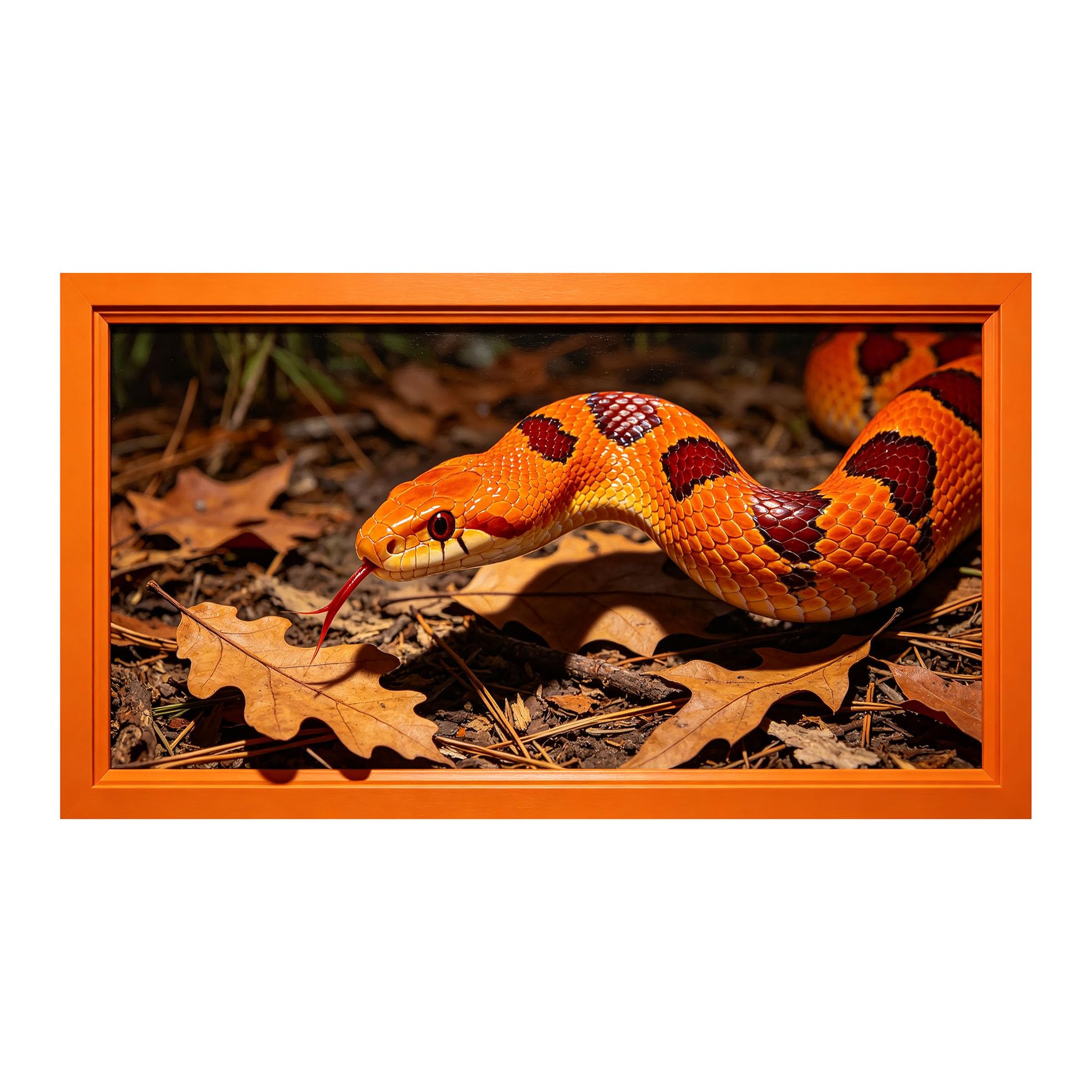 Yzpallescene 3D Framed Wall Art 50cm×100cm Realistic Tropical Reptile Wildlife Panoramic Large Size SelfAdhesive Removable Wall Decor Prints Artwork for Living Room Bedroom Office