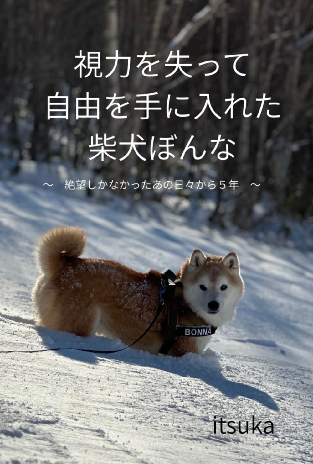 視力を失って自由を手に入れた柴犬ぼんな: 絶望しかなかったあの日から５年
