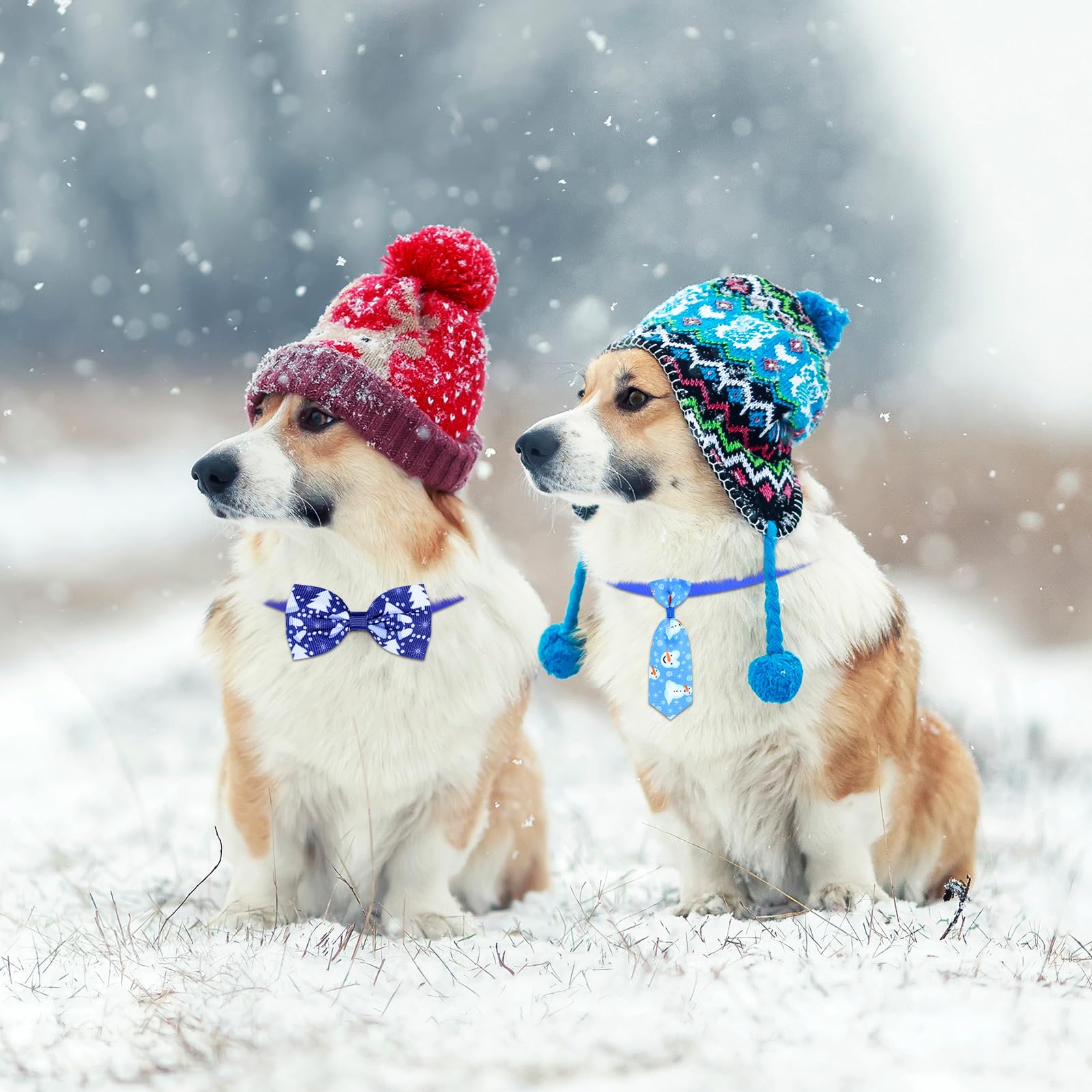120 Stück Hundehalsband mit Fliege und Halsband, verstellbar, Hundezubehör für kleine Hunde, niedliche Hundehaarschleifen, Katzen-Fliege, Hundehalsband, Dekoration, grundlegende Hundehalsbänder für