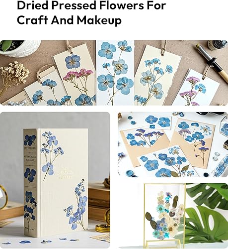 Vista 139 de Resiners - Flores secas, 100 piezas de flores prensadas para manualidades, color amarillo, flores secas naturales, kit de hojas secas