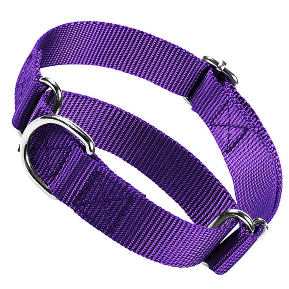 Choker Collar for Dogs, Escape Proof Dog Martingale Collar No Pull Cinch Dog Training Collars Adjustable for Small Medium Large Breed Pet Dogs, Purple
