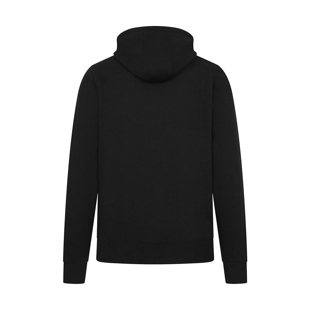 Amazon.com : AMG Petronas F1 Men's Logo Hoodie - Black/Green