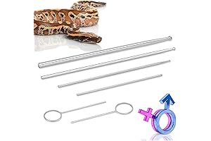 Snake Venom Test Kit - The Ultimate Solution for Reptile Safety